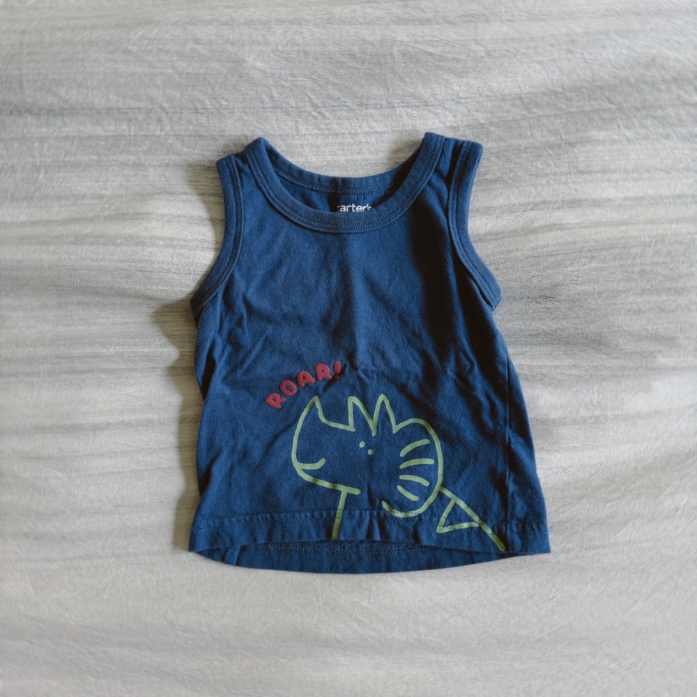 Carter's Blue and Green Graphic Tank Top